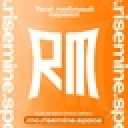 Значок сервера risemine.space